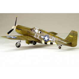 Maquette de F-6B Mustang 1/48