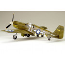 Maquette de F-6B Mustang 1/48