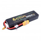 Batterie LI-PO 3S 11.1V 6500MAH 60C XT90 BASHING